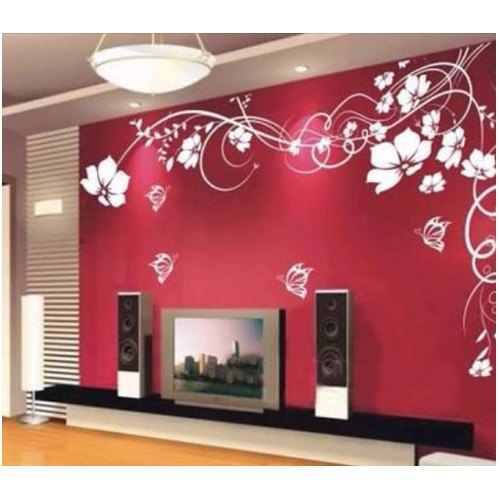 residential wall painting service